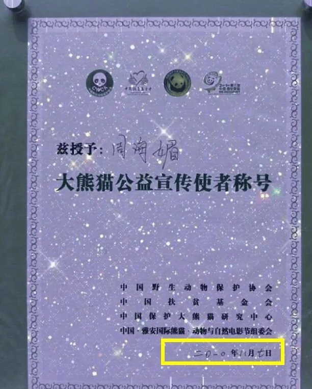 周海媚的故事告诉我们 生命短暂珍惜当下 她的一生用行动诠释了如何积极面对生活(图7)