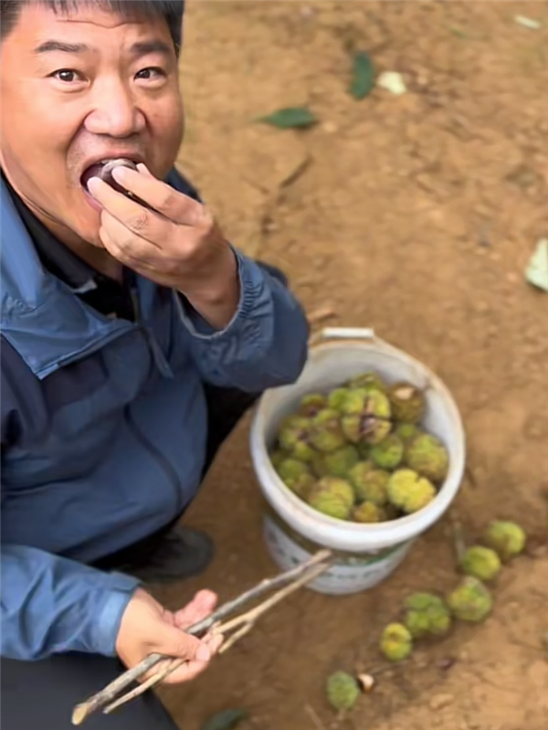 做了两年网红后 反诈老陈想回去做老本行了