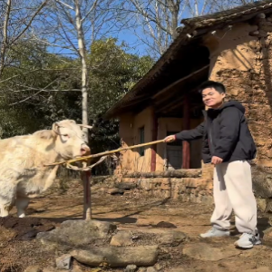 董宇辉晒出回村后的惬意生活：遛狗、喂牛，还跑到小溪里抓鱼